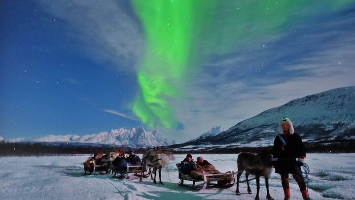 Sami Reindeer Sledding and Feeding with a Chance of Northern Lights