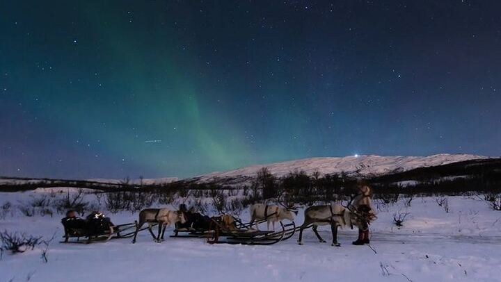 Sami Reindeer Sledding and Feeding with a Chance of Northern Lights (4/9)
