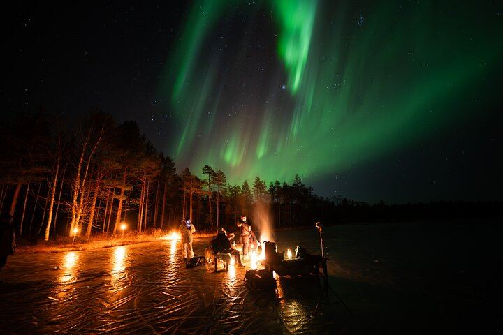 Ranua Aurora Activity Park After Dark with Sauna and Reindeer (11/12)