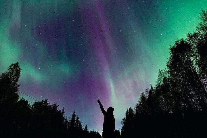 Gruppenreise zur Beobachtung des Nordlichts in Rovaniemi mit Geld-zurück-Garantie (9/12)