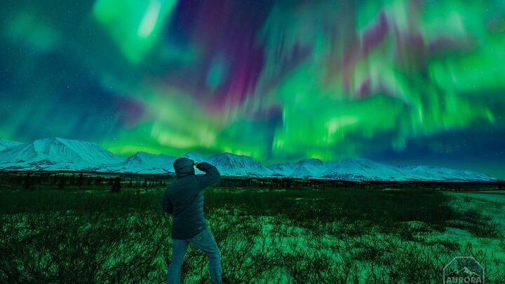 Expérience "SkyChase" pour observer les aurores boréales au départ de Fairbanks, avec photographie gratuite (2/12)