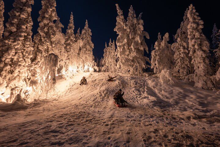 Ranua Aurora Activity Park After Dark with Sauna and Reindeer (12/12)