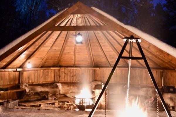 Sleigh Ride Under the Northern Lights Along the Alta River