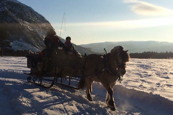 Sleigh Ride Under the Northern Lights Along the Alta River (3/3)