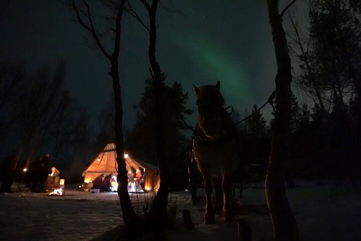 Sleigh Ride Under the Northern Lights Along the Alta River (2/3)