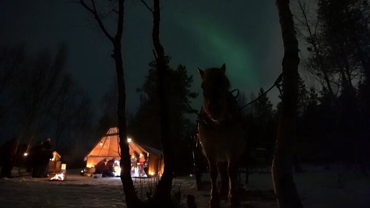Sleigh Ride Under the Northern Lights Along the Alta River (2/3)