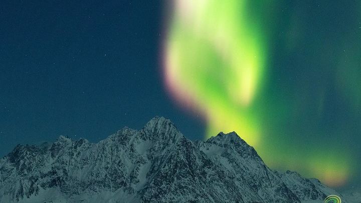 Small Group Northern Lights Tour from Tromso with Photos, 7 Hours (2/12)