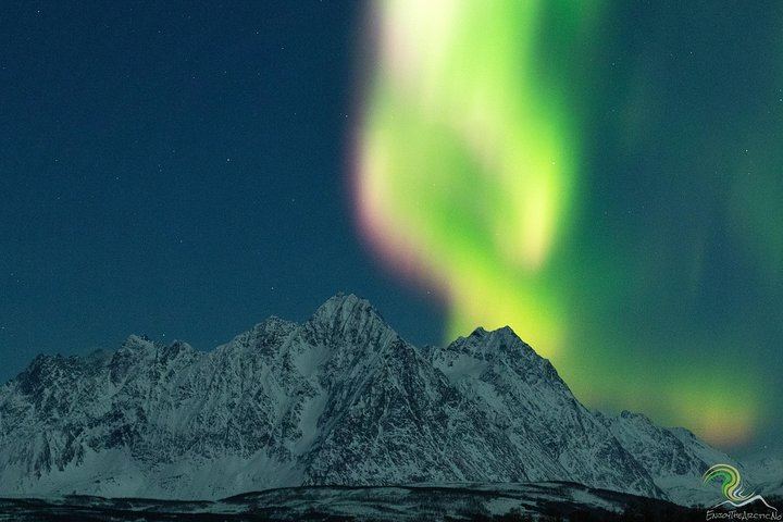 Small Group Northern Lights Tour from Tromso with Photos, 7 Hours (2/12)