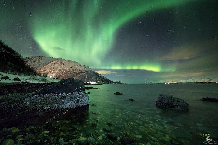 Small Group Northern Lights Tour from Tromso with Photos, 7 Hours (5/12)