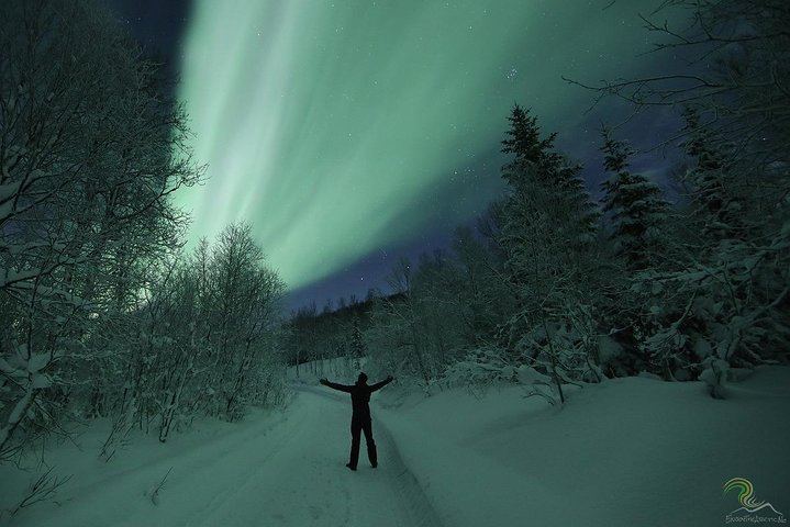 Small Group Northern Lights Tour from Tromso with Photos, 7 Hours (8/12)