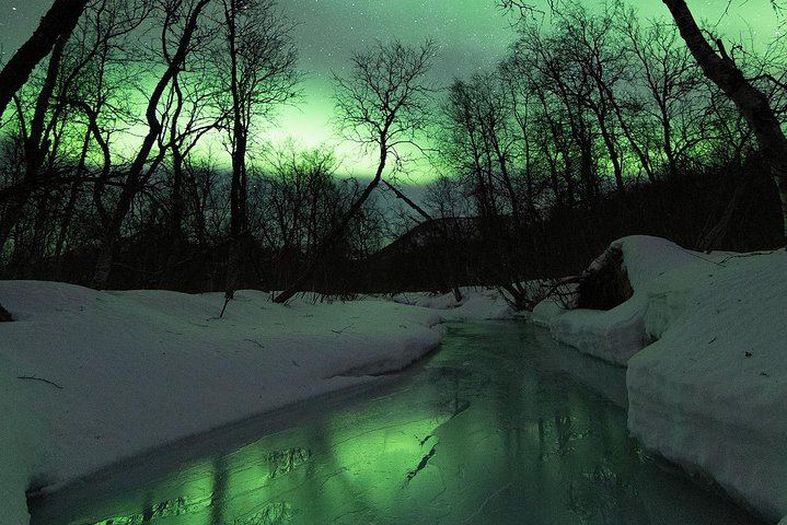 Small Group Northern Lights Tour from Tromso with Photos, 7 Hours (6/12)