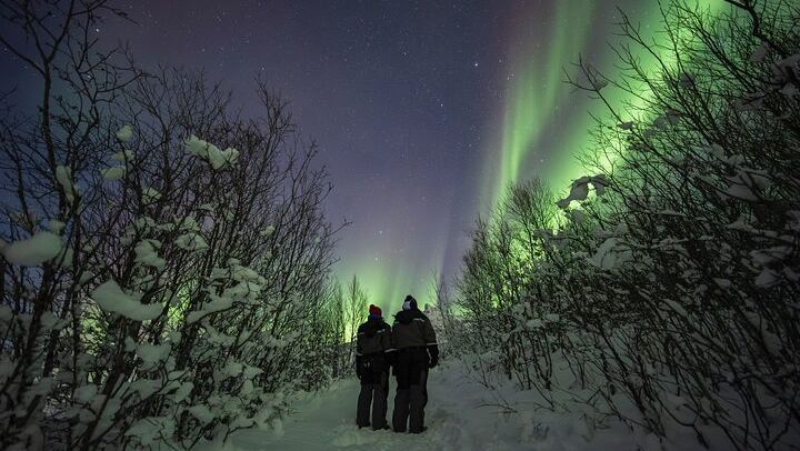 Small Group Quest for the Northern Lights in Tromso by 4x4 Van (4/12)