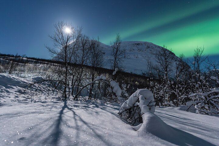 Small Group Quest for the Northern Lights in Tromso by 4x4 Van (8/12)