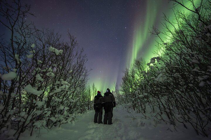 Small Group Quest for the Northern Lights in Tromso by 4x4 Van (4/12)