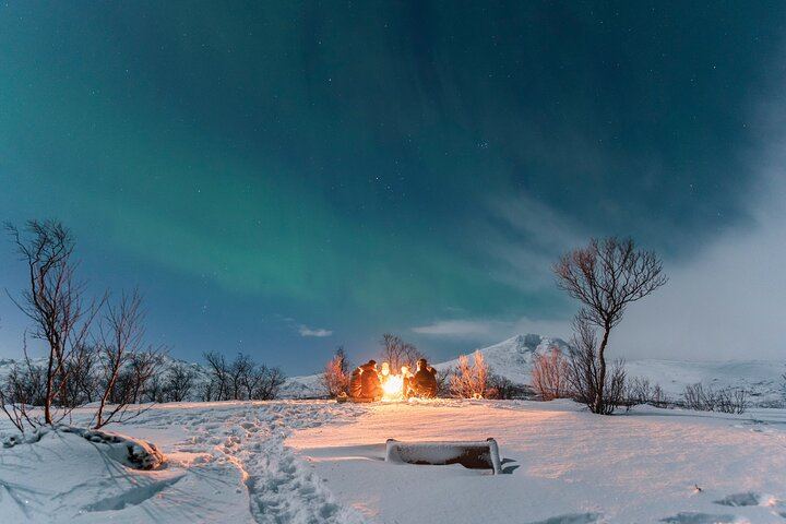 Small Group Quest for the Northern Lights in Tromso by 4x4 Van (7/12)