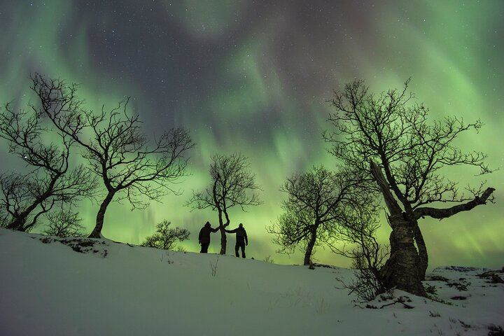 Small Group Quest for the Northern Lights in Tromso by 4x4 Van (5/12)