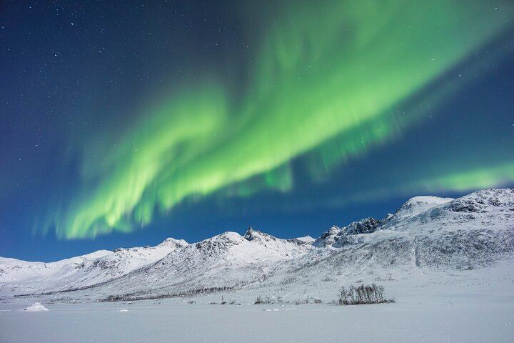 Small Group Quest for the Northern Lights in Tromso by 4x4 Van (10/12)
