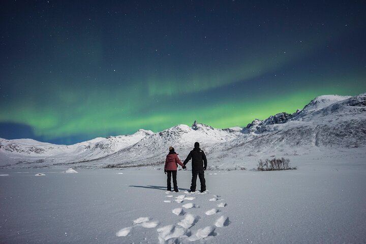 Small Group Quest for the Northern Lights in Tromso by 4x4 Van (3/12)