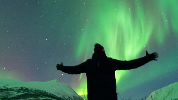 Small Group Tromso Northern Lights Chase with Photos and Dinner (3/12)
