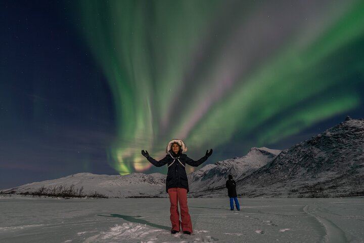 Small Group Tromso Northern Lights Chase with Photos and Dinner (4/12)