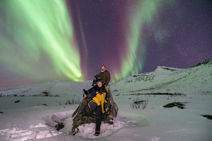 Small Group Tromso Northern Lights Chase with Photos and Dinner (12/12)