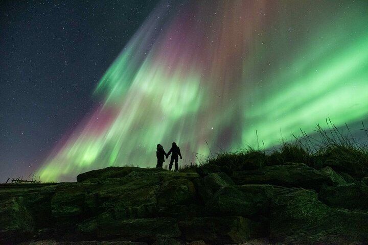 Small Group Tromso Northern Lights Chase with Photos and Dinner (9/12)