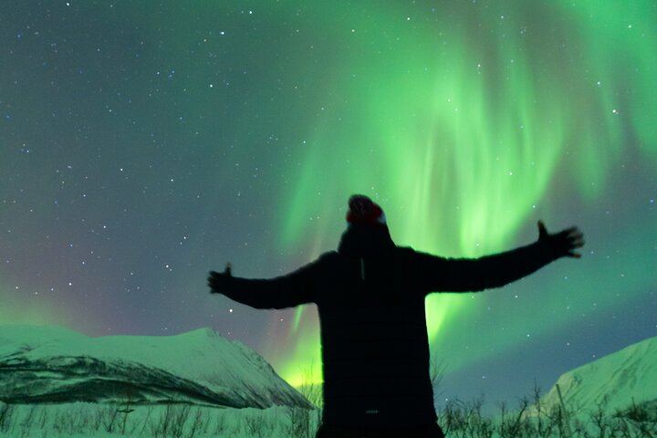 Small Group Tromso Northern Lights Chase with Photos and Dinner (3/12)
