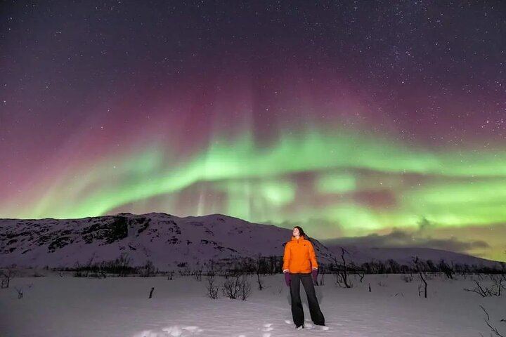 Small Group Tromso Northern Lights Chase with Photos and Dinner (8/12)