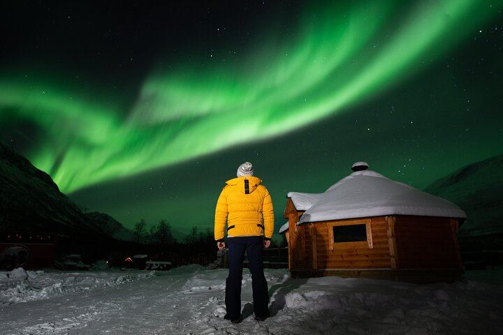 Small Group Tromso Northern Lights Chase with Photos and Dinner (6/12)