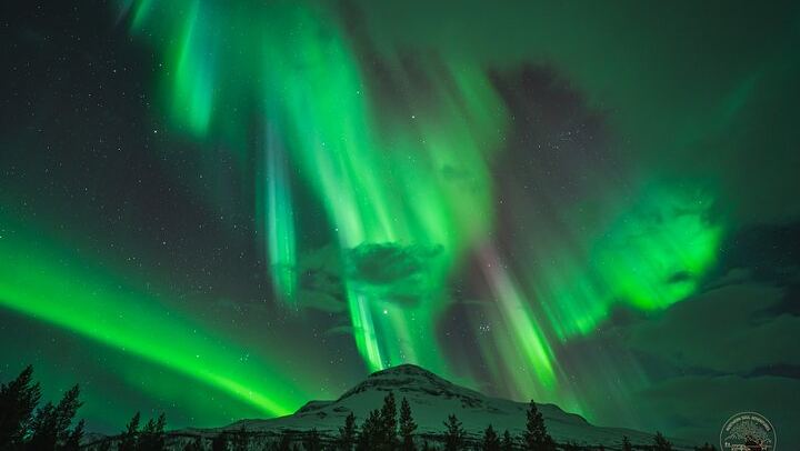 Minibus Northern Lights Chase from Tromso with Photography