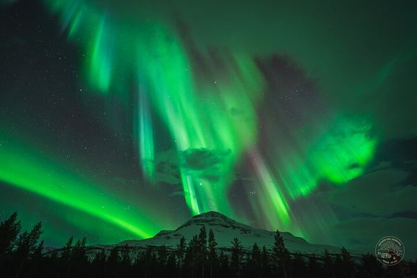Minibus Northern Lights Chase from Tromso with Photography