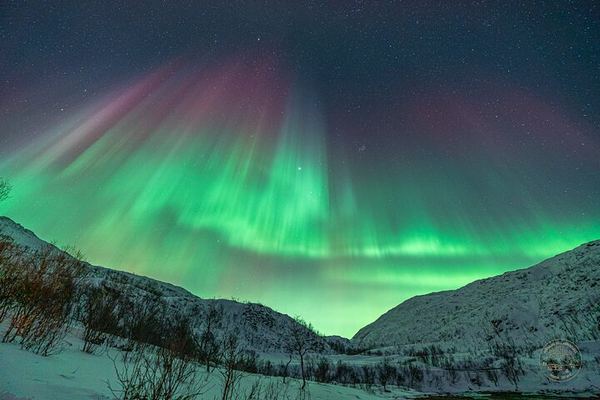 Private Northern Lights Chase from Tromso with Photography
