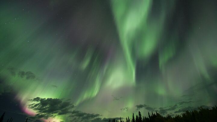 Small Group Yukon Aurora Viewing by Pickup Truck or Van, Max 10