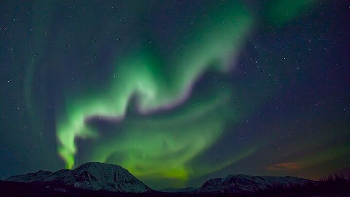 Small Group Yukon Aurora Viewing by Pickup Truck or Van, Max 10 (3/12)