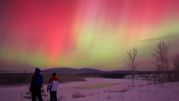 Small Group Yukon Aurora Viewing by Pickup Truck or Van, Max 10 (4/12)