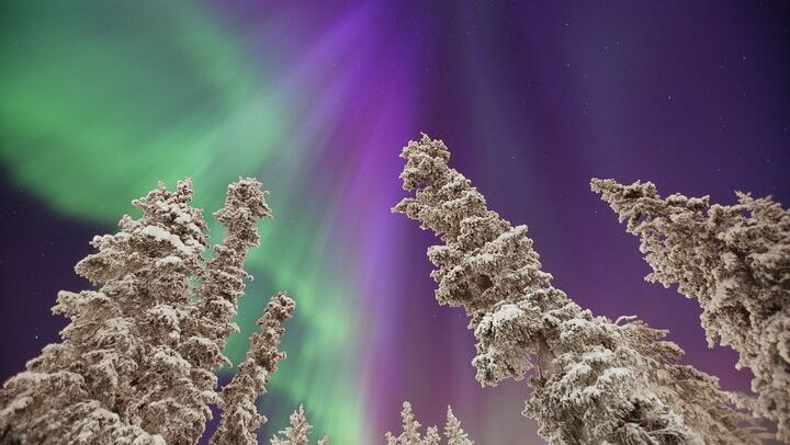 Small Group Yukon Aurora Viewing by Pickup Truck or Van, Max 10 (1/12)