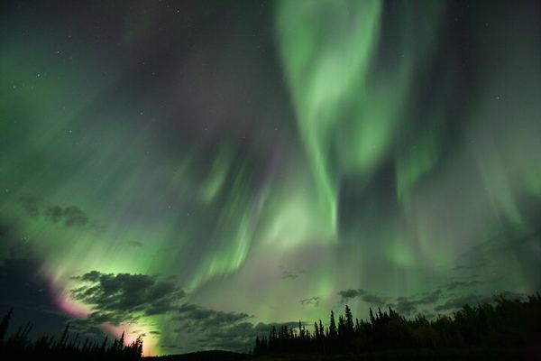 Small Group Yukon Aurora Viewing by Pickup Truck or Van, Max 10