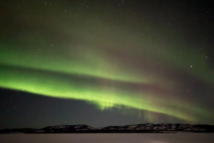Small Group Yukon Aurora Viewing by Pickup Truck or Van, Max 10 (9/12)