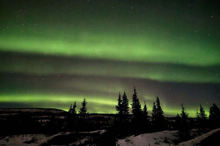 Small Group Yukon Aurora Viewing by Pickup Truck or Van, Max 10 (11/12)