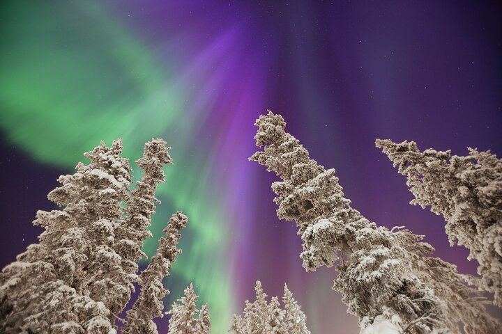 Small Group Yukon Aurora Viewing by Pickup Truck or Van, Max 10 (1/12)