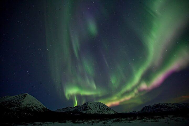 Small Group Yukon Aurora Viewing by Pickup Truck or Van, Max 10 (2/12)