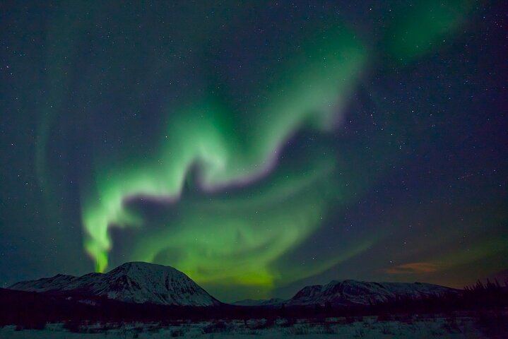 Small Group Yukon Aurora Viewing by Pickup Truck or Van, Max 10 (3/12)