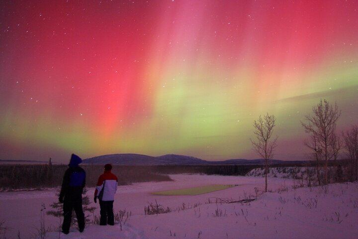 Small Group Yukon Aurora Viewing by Pickup Truck or Van, Max 10 (4/12)