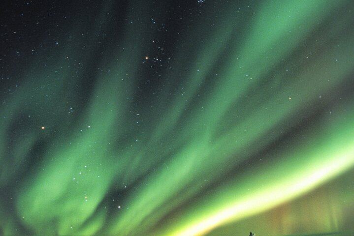Small Group Yukon Aurora Viewing by Pickup Truck or Van, Max 10 (6/12)