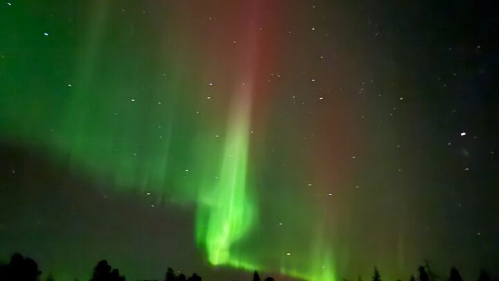 Northern Lights Small Group Tour from Rovaniemi, Photos Included (4/4)
