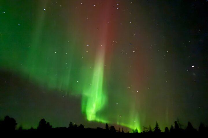 Northern Lights Small Group Tour from Rovaniemi, Photos Included (4/4)