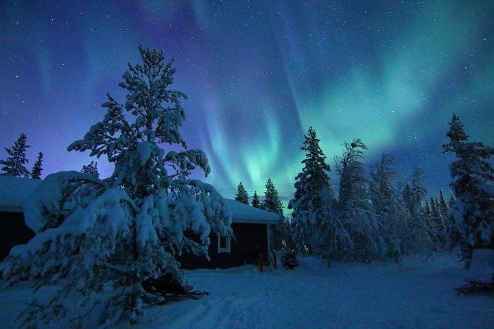 Snowmobile Aurora Expedition from Kiruna with a Lappish Dinner (3/8)