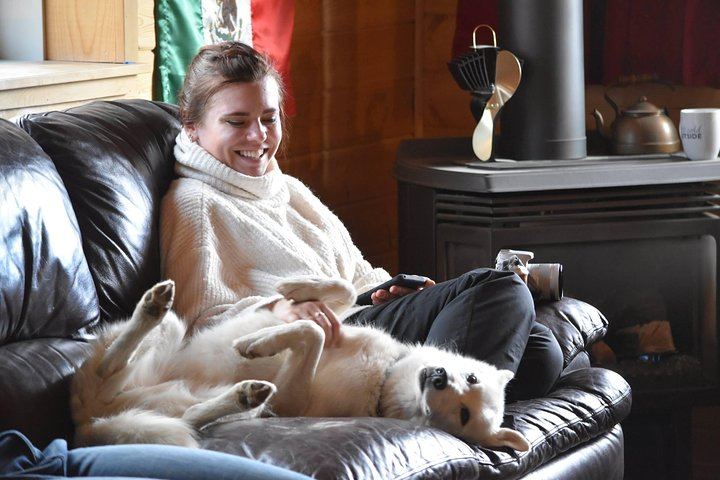 Northern Lights and Huskies at a Takhini River Dog Lodge (1/12)