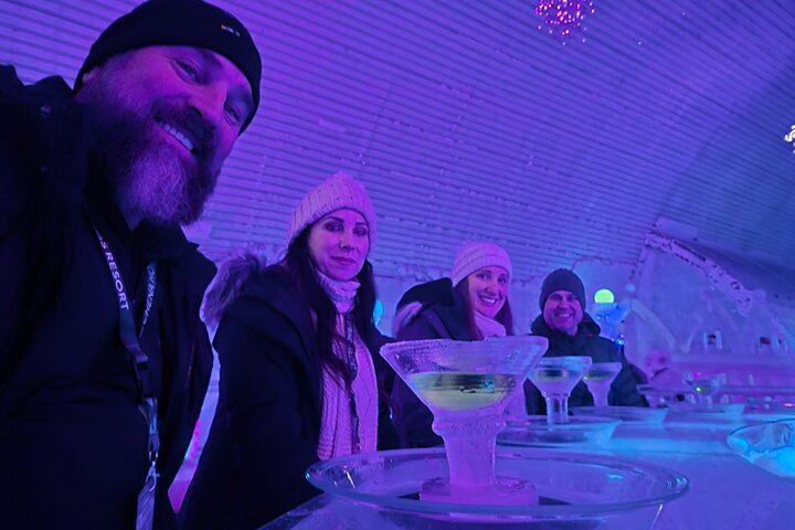Chena Hot Springs Aurora Night with a Dedicated Guide and Portraits (1/12)