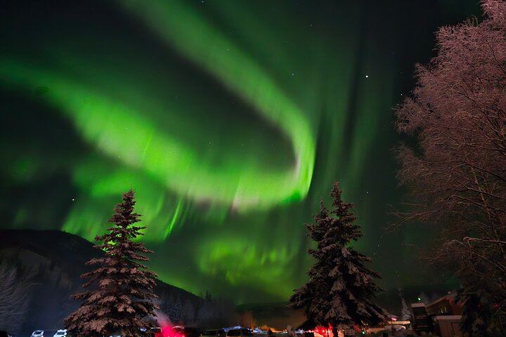 Chena Hot Springs Aurora Night with a Dedicated Guide and Portraits (6/12)
